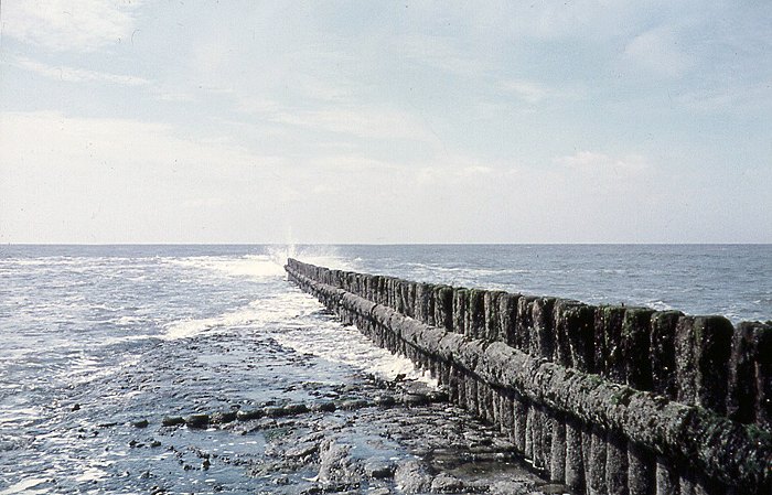 Pfahlbuhne im Westen