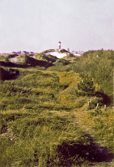 In den D&uuml;nen