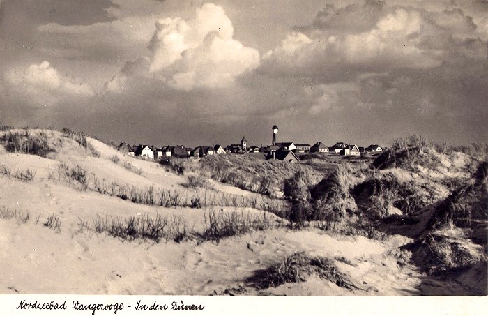 In den D&uuml;nen