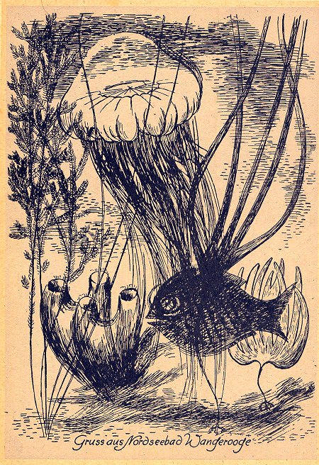 Unterwasserwelt der Nordsee