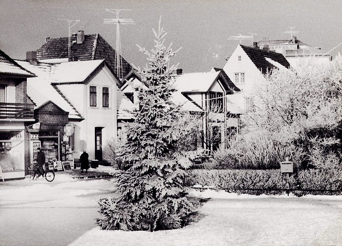 Wangerooger Weihnachtsbaum