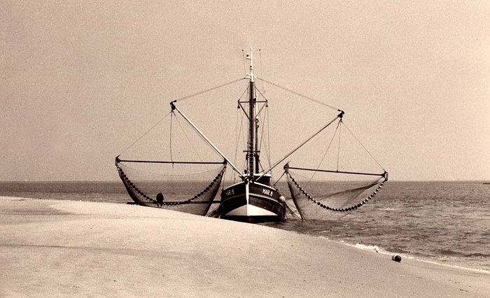 Fischkutter am Ostende