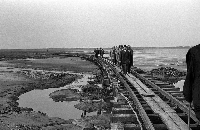 G&auml;nsemarsch auf 1000 mm