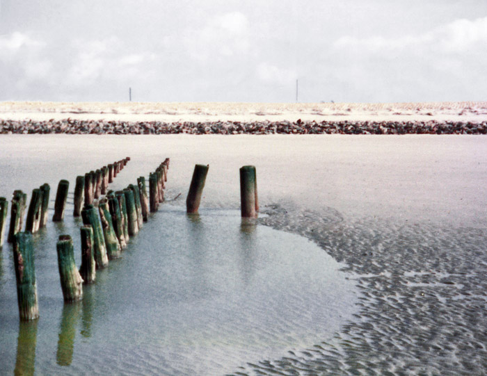 Pf&auml;hle am Weststrand