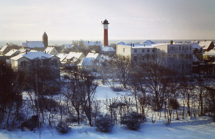 Rosengarten im Winter
