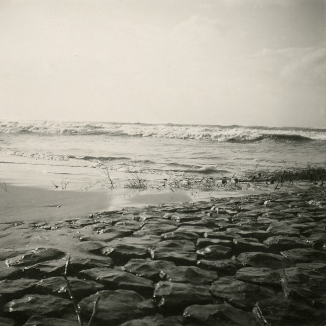 Buhne am Hauptstrand