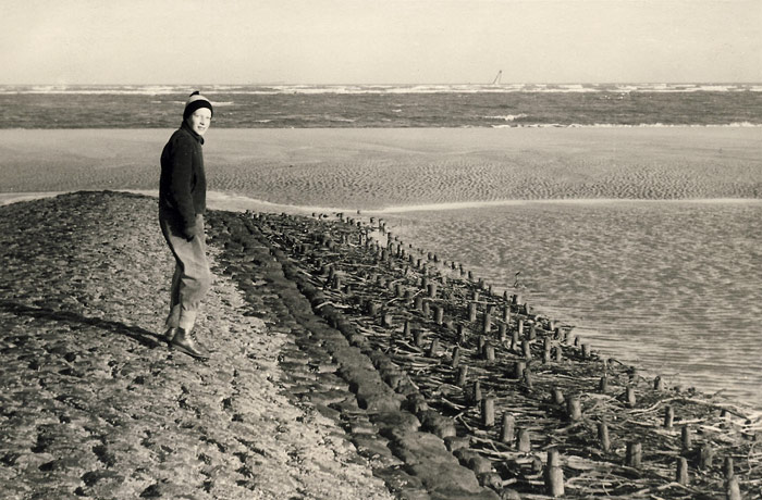 Buhne bei Niedrigwasser