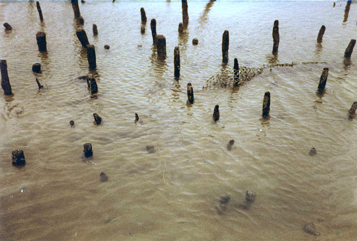 Pfahlreste am Strand