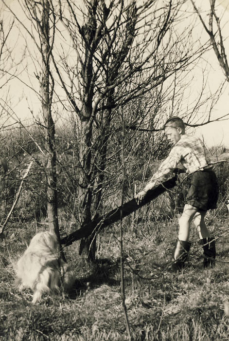 Rodung im Schulgarten